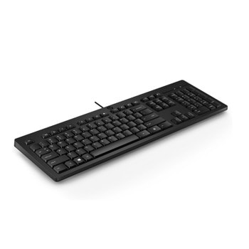 HP 125 Wired Keyboard AY2Y7AA