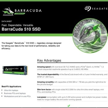 Seagate 500GB BarraCuda 510 PCIe ZP500CM3A001