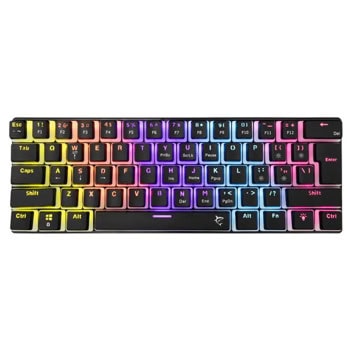 white shark ashiko 2 blue switch