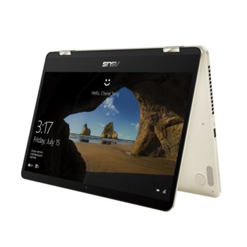 Asus ZenBook Flip 14 UX461UA-E1013T