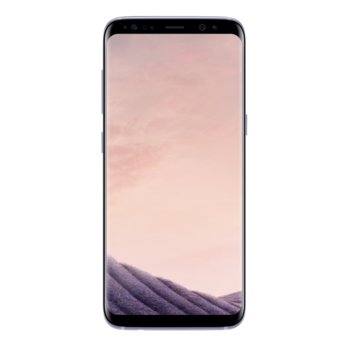 Samsung Galaxy S8 (SM-G950F)(сив), 5.8" (14.8 cm) Quad HD+ Super AMOLED дисплей, осемядрен Exynos 8895 (4x 2.3GHz + 4x 1.7GHz), 4GB LPDDR4 RAM, 64GB Flash памет (+microSD слот), 12 & 8 Mpix camera, Android, 155g | JAR Computers Samsung Galaxy S8 Orchid Gray SM-G950FZVABGL