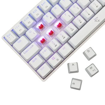 white shark shinobi 2 бяла