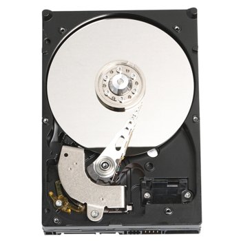 80GB WD, SATA2, 7200rpm, 8MB