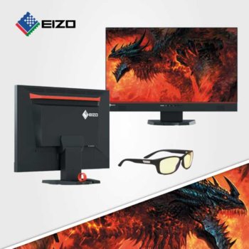 Eizo FORIS FS2434 & Gunnar Micron Onyx