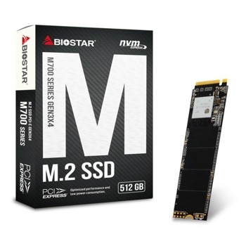 Biostar M700-512GB