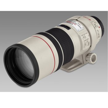 Canon LENS EF 300mm f/4.0L IS USM