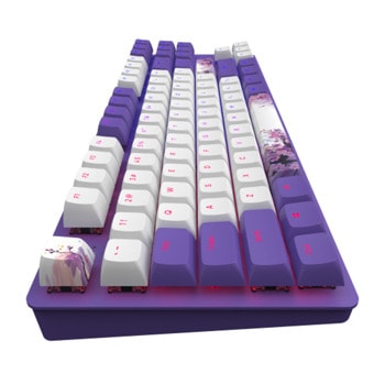 Клавиатура Dark Project 87 Violet Horizons RGB TKL