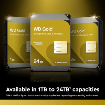 Western Digital 20TB Gold SATA III WD202KRYZ