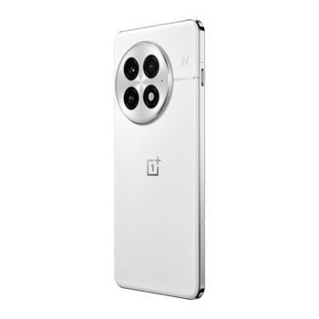 OnePlus 13 16GB/512GB Arctic Dawn 5011110312