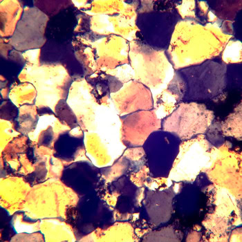 MAGUS Pol D800 LV83040