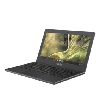 Asus Chromebook C204EE-GJ0219