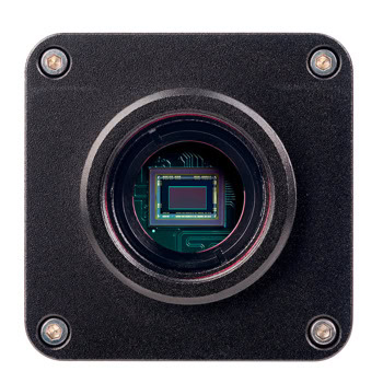 MAGUS Stereo D8T LCD BASE