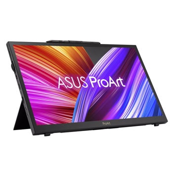 ASUS ProArt PA169CDV 90LM0711-B01I7