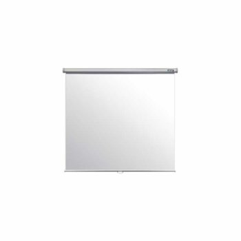Acer M80-S01MW Projection Screen