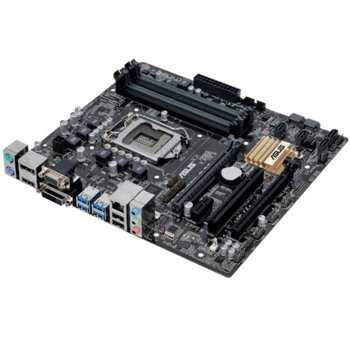 Asus B150M-C D3