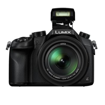 Panasonic LUMIX FZ1000+DMW-BLC12E Li-ION+SDXC64GB