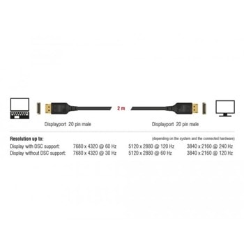 Delock DisplayPort - DisplayPort male 85660