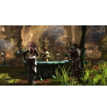 Kingdoms of Amalur: Re-Reckoning Collectors Ed PC