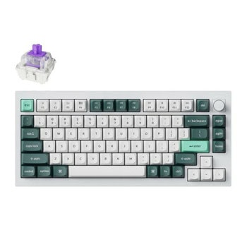 Keychron Q1 HE QMK White Gateron Nebula Q1H-P1