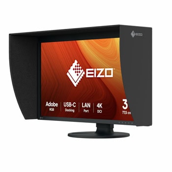 EIZO CG3100X