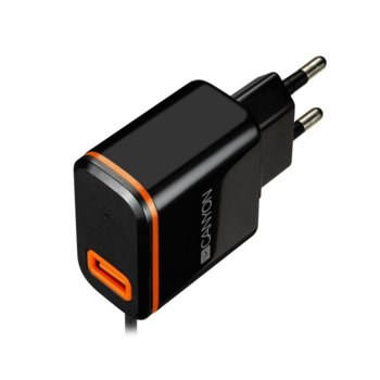 Canyon Universal 1xUSB AC charger + USB Type C