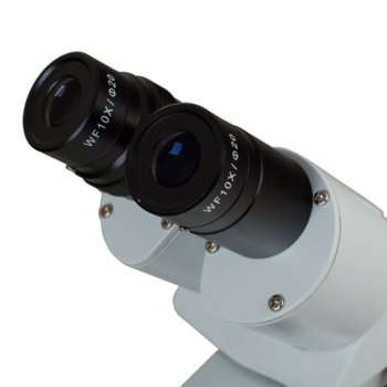 Bresser Researcher ICD LED 20-80x Microscope