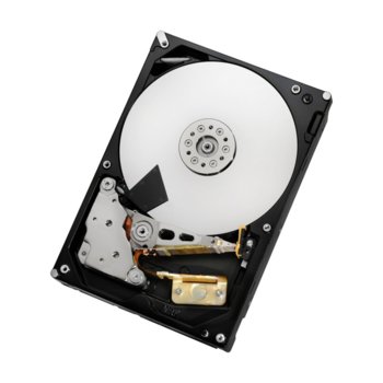 2 TB HGST HUS724020ALS641 SAS 6Gb/s