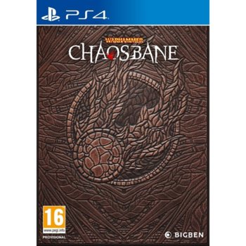 Warhammer: Chaosbane Magnus Edition PS4