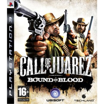 Call of Juarez: Bound in Blood