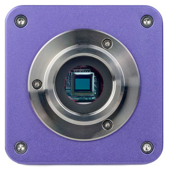 MAGUS Stereo D7T BASE