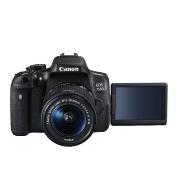 Canon EOS 750D + EF-S 18-55 IS STM + DSLR ENTRY