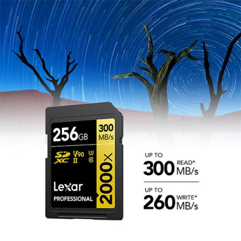 Lexar 256GB Professional 2000X LSD2000256G-BNNNG