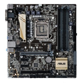 Asus H170M-PLUS