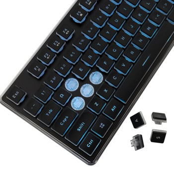 white shark tachi черна | JAR Computers white shark tachi черна