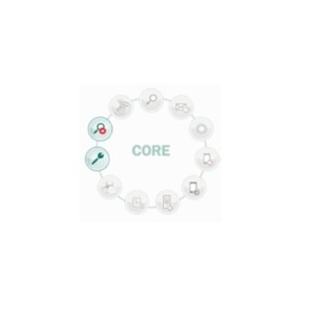 Kaspersky Security for Business - Core KL4861OANFS