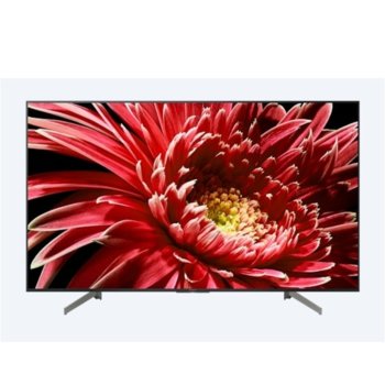 Телевизор 55" (139.7 cm) 4K Smart TV, DVB-S/S2, Wi-Fi, Bluetooth, 4x HDMI, 3x USB | JAR Computers No name