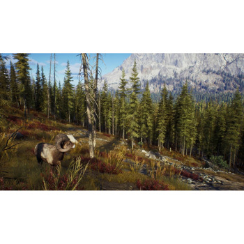 Way of the Hunter - Hunting Season One Xbox Ser X