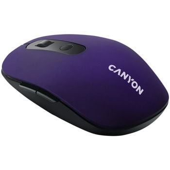 Canyon CNS-CMSW09V