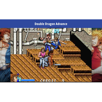 Double Dragon Collection Nintendo Switch