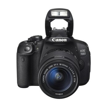 Canon EOS 700D + EF-S 18-55 IS STM+wifi SD 8GB