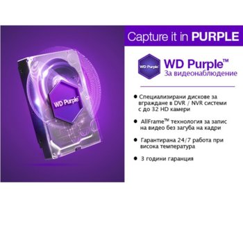 2TB WD SATAIII Purple WD20PURZ