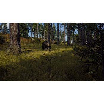 Way of the Hunter (PS5)