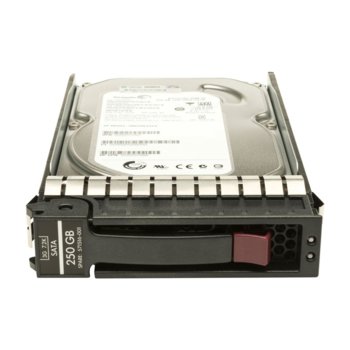 250GB HP Enterprise Non-Hot Plug SATA2 7200rpm