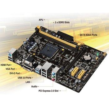 Asus AM1M-A