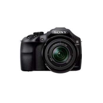 Sony A3000