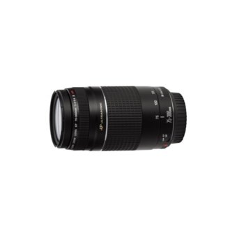 Canon EF 75-300mm f/4-5.6 III