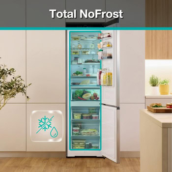 Gorenje NRB620E61X4WFE