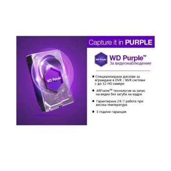 3TB Western Digital WD Purple WD30PURZ