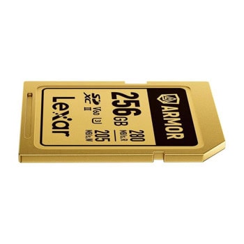 Lexar 256GB Armor Gold LSDAMGL256G-RNNNG