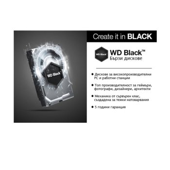 4TB WD Black (WD4004FZWX)